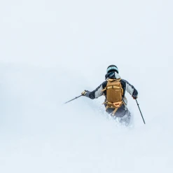 POC Dimension VPD Backpack Snow