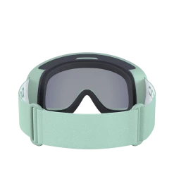 POC Fovea Mid Clarity Goggles
