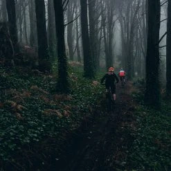 POC Crave Clarity Sunglasses