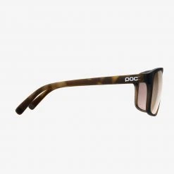 POC Will Sunglasses