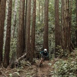 POC Mountain Biking Resistance Pro DH Glove