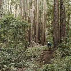 POC Resistance Women's 3/4 Jersey