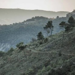 Wholesale 🎉 POC Joint VPD Air Elbow Mountain Biking 😀 31 POC Joint VPD Air Elbow Mountain Biking