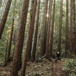 POC VPD System Chest