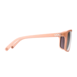POC Will Sunglasses